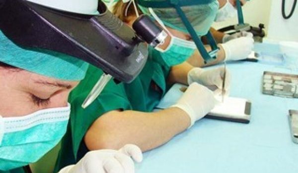 diagnostico-calvicie.jpg